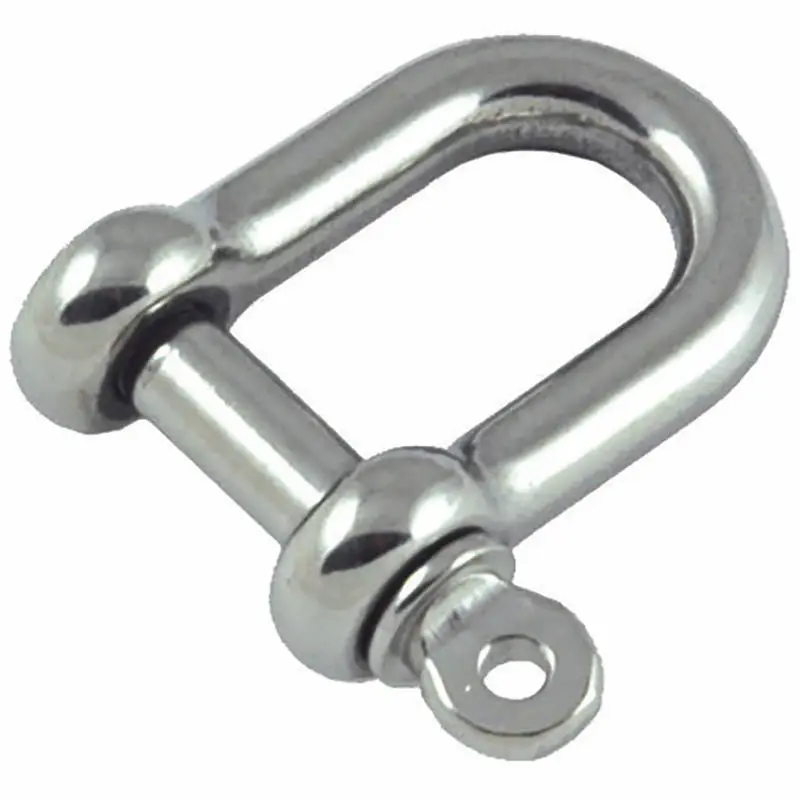 Stainless Steel D Shackle