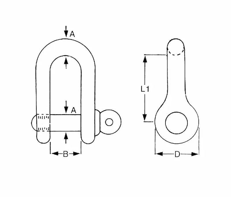 Stainless Steel D Shackle