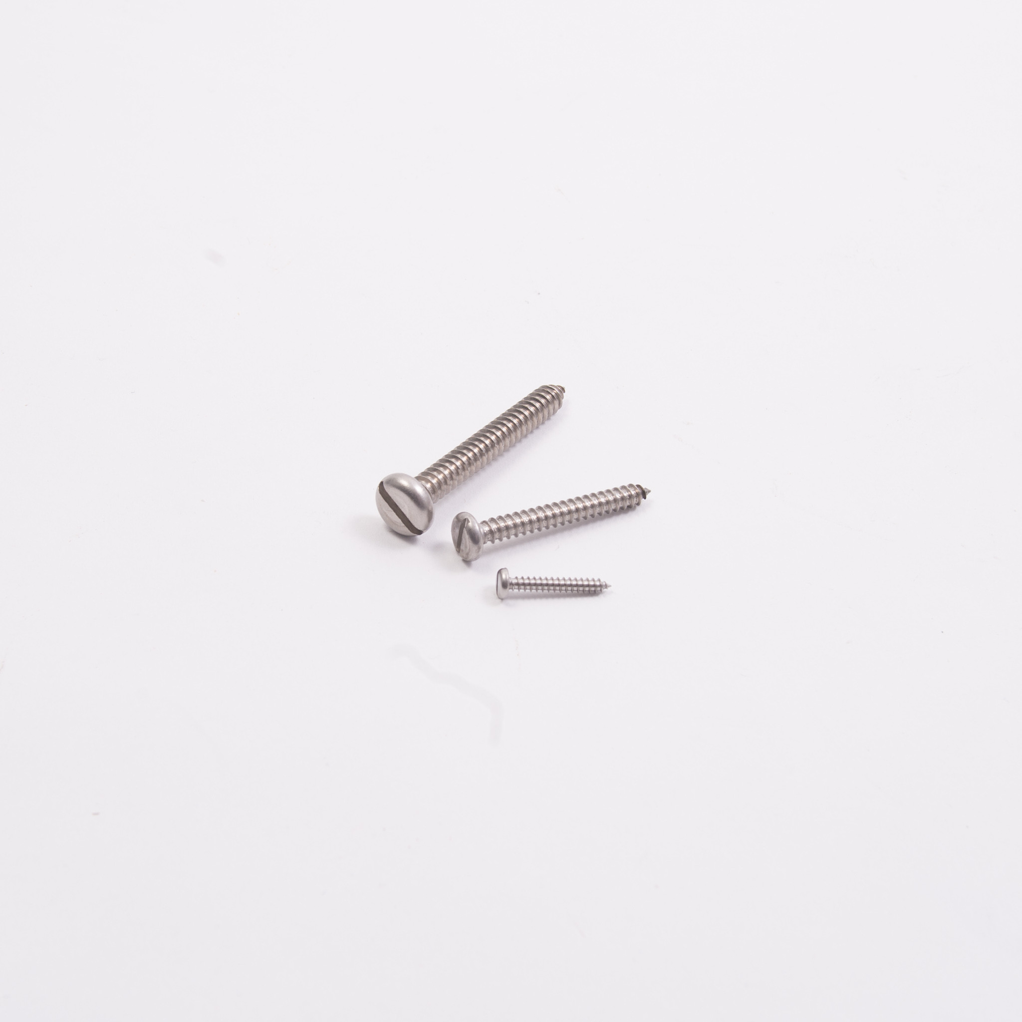 Self Tapping Pan Head Slotted Screw A4