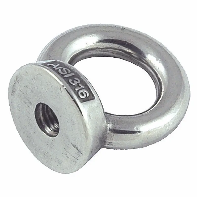 Stainless Steel Lifting Eye Nut