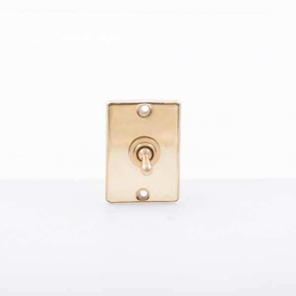 Davey and Co. Switch with Plate Brass